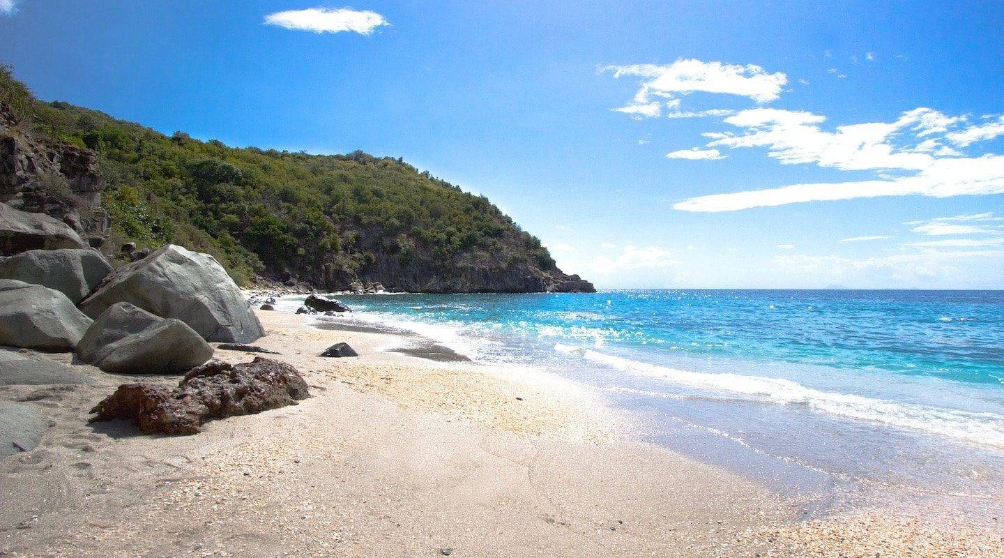 Shell Beach